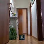 Dominique Comfort Reggio di Calabria